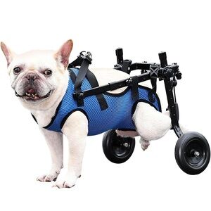 Blue Dog Wheelchair